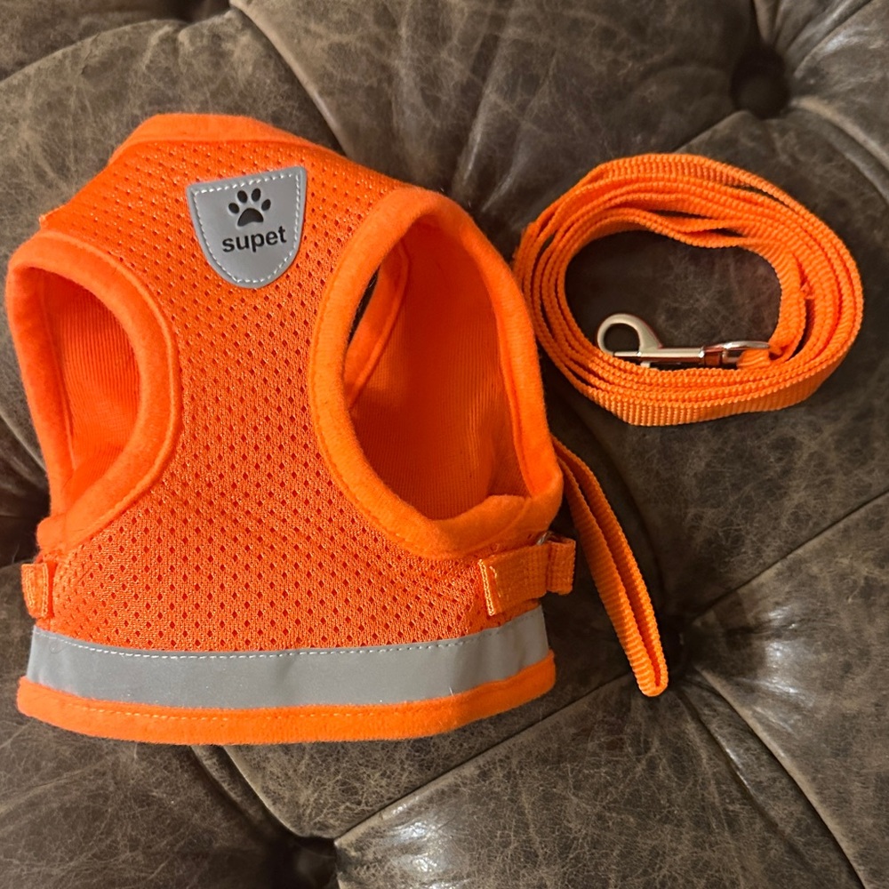 Orange Cat Harness and Leash Set